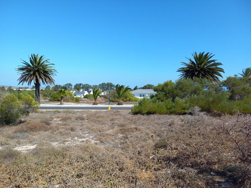 0 Bedroom Property for Sale in Shelley Point Western Cape